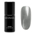 Smalto semipermanente 7,2 ml - Silver Sheen
